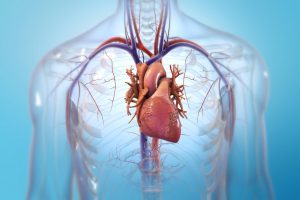 美国心脏协会发表研究：电子烟和卷烟混用不能降低心脏病风险缩略图