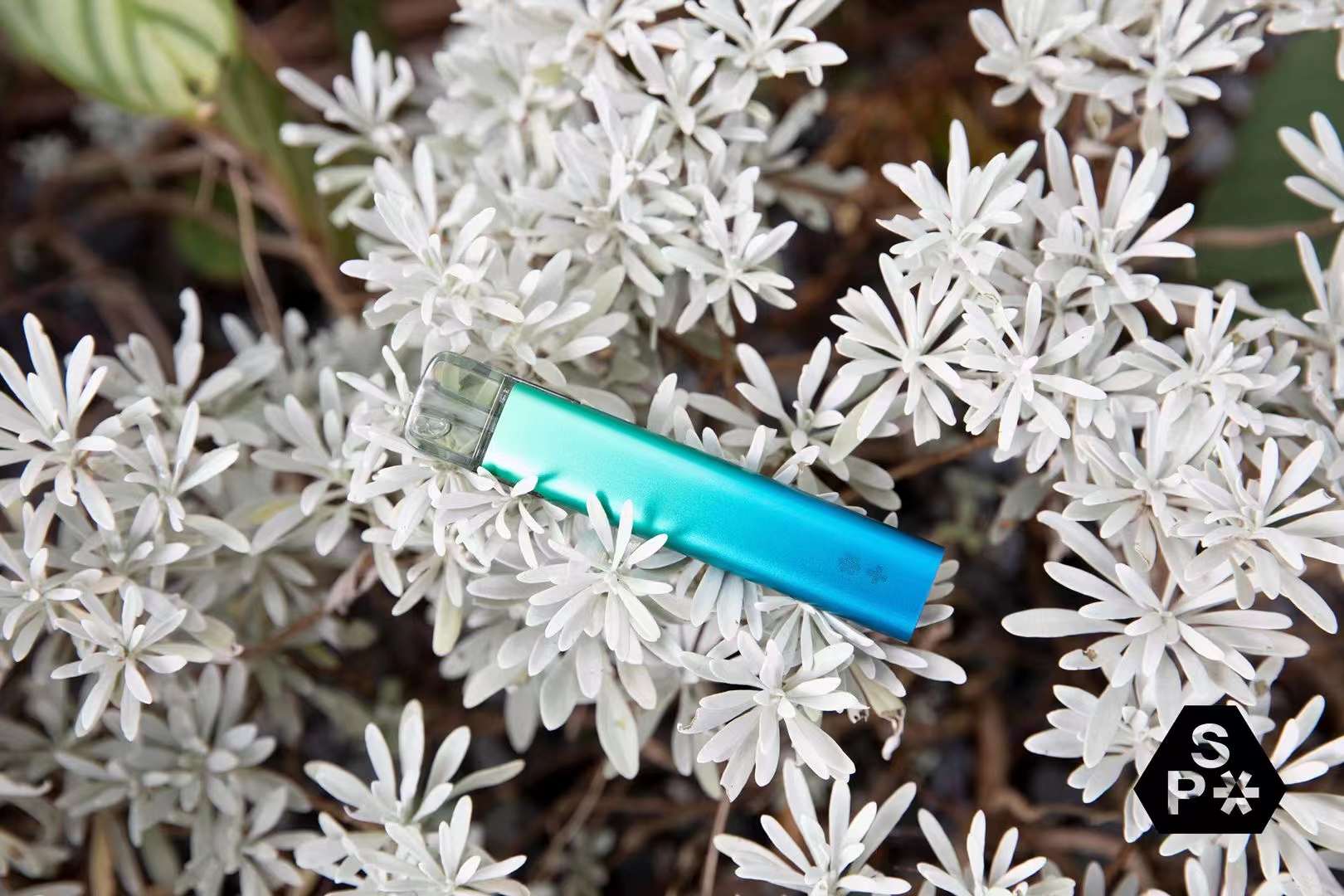 snowplus多少钱一支？snowplus电子烟官网售价