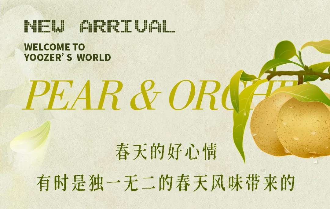 限时尝新｜刚刚好的你，遇见刚刚好的兰花雪梨