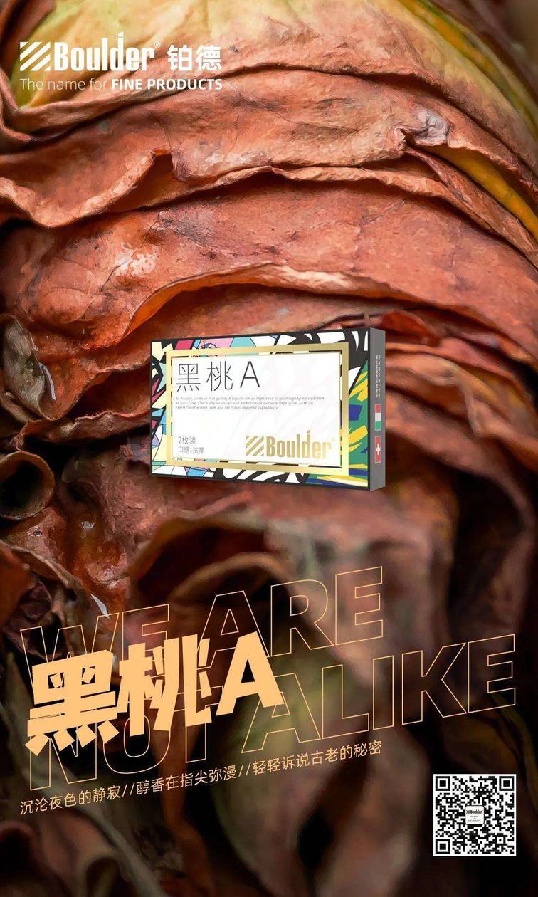 铂德新品首发！插画印象版KATE Graffiti，潮流视觉，全新升级！