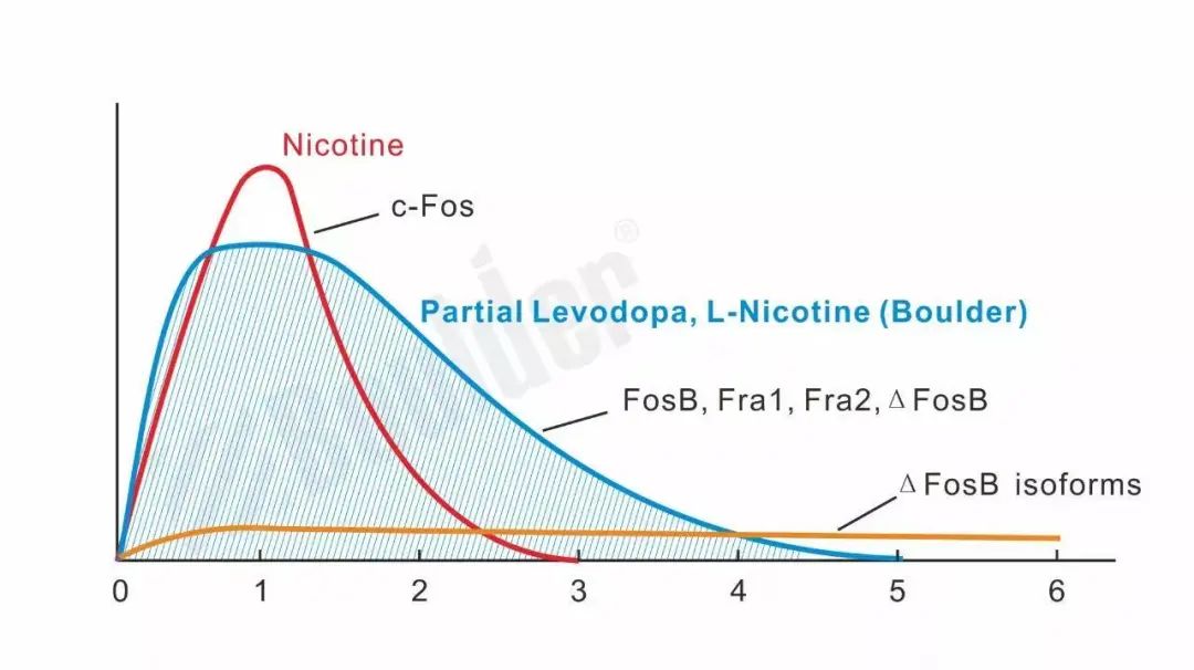 选择“Boulder铂德”的品控，还要懂得“Boulder铂德”的坚持!