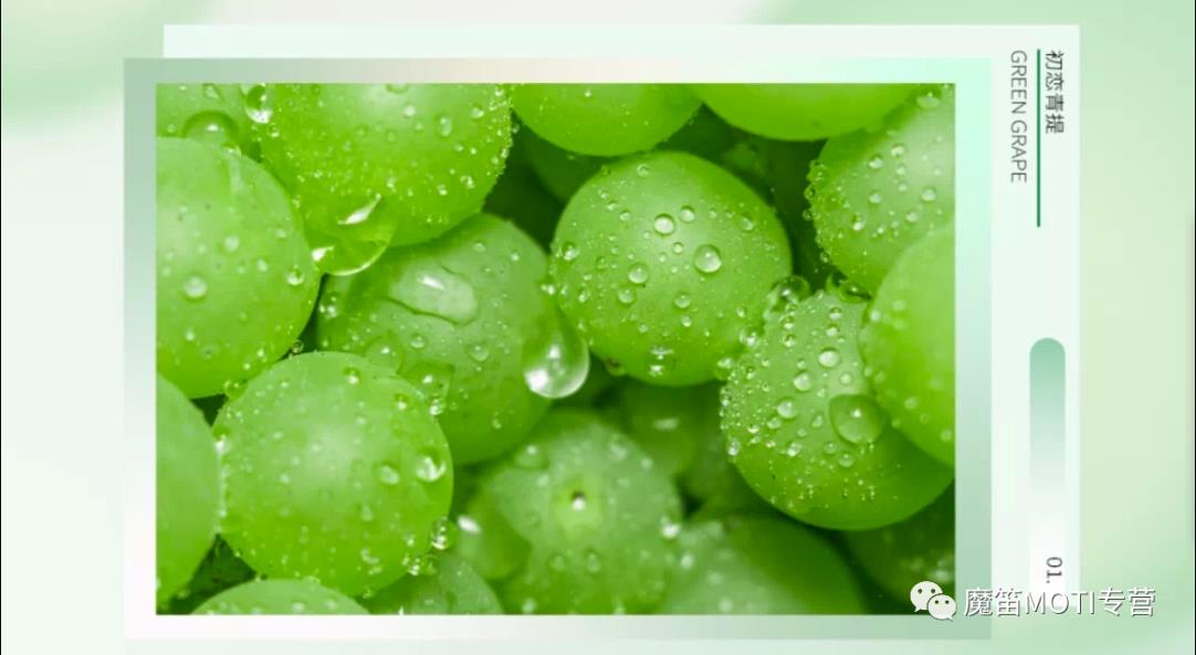 好味道每天不重样魔笛MOTIS新口味一口惊艳你的味蕾