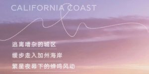 yooz柚子电子烟主机上新 | 逃离嘈杂生活，启程「加州海岸」缩略图