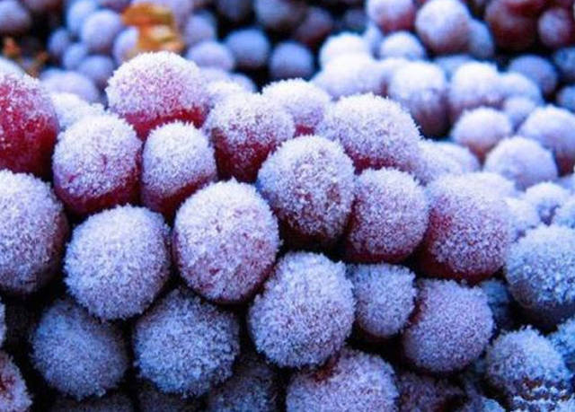 电子烟油低温会不会冻上？