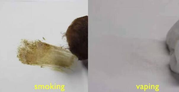 抽电子烟和香烟的肺部对比