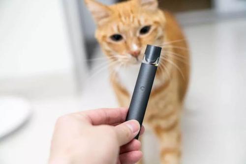 魔笛电子烟有蓝牙功能吗？