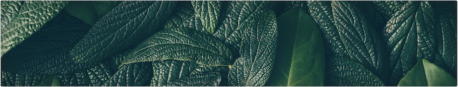 小野电子烟什么口味好？小野电子烟口味推荐