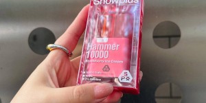 <?php the_title(); ?>