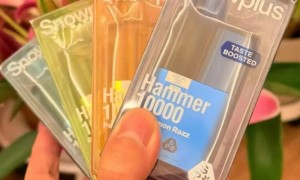 雪加大板砖电子烟哪个口味好？畅享烟草风味与创意新体验