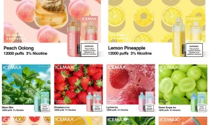 ICEMAX电子烟价目表-零售价格是多少？