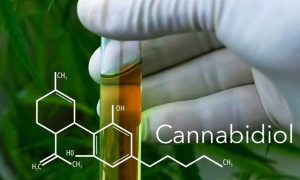 cbd油在国内合法吗？cbd油在中国是否合法？