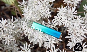 snowplus多少钱一支？snowplus电子烟官网售价