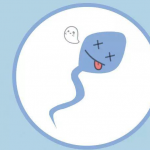 yooz电子烟杀精子吗？
