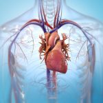 美国心脏协会发表研究：电子烟和卷烟混用不能降低心脏病风险