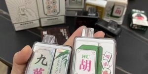 Song菘盒子一次性电子烟评测