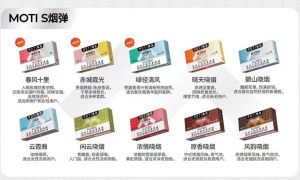 魔笛s新国标烟弹