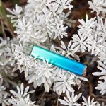 snowplus多少钱一支？snowplus电子烟官网售价