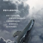 YOOZ柚子新品|做梦一时爽……你的梦是紫色的吗「梦幻紫晶」？