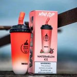2022电子烟一次性畅销品牌排行榜：wdg奶茶杯、福禄大彩蛋、迷雾可乐罐