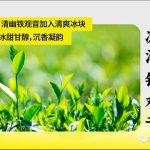 茶控注意啦！魔笛MOTI新口味来袭。秋季品茶的季节