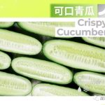 好味道每天不重样魔笛MOTIS新口味一口惊艳你的味蕾