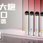 追云大炮电子烟价钱多少？