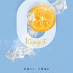 vvild小野v1烟弹上新口味：【又见金桔】零尼古丁，给你跨季节的清爽
