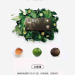 LEME 乐美烟弹新口味“小青柑”上市；通用IQOS；徕米零嘉