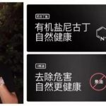电子烟与香烟谁的危害大？