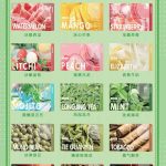 思格雷刀锋电子烟新品上市告别焦虑！一杆一弹套装仅39元！