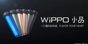 WIPPO小品电子烟预售已下20城—带你玩转电子烟缩略图
