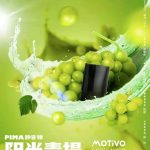 唯它烟弹PIMA新口味登出，更有酷炫“小银杆”主机来袭！