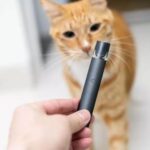 魔笛电子烟有蓝牙功能吗？