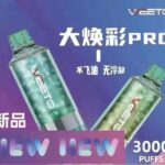 weeto大焕彩pro多少钱？