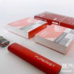 本雾楚韵(一次性电子烟)多少钱一个？