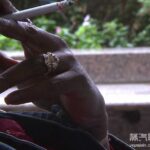 美国特拉华州立法者呼吁FDA禁止薄荷卷烟