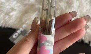 崧鸭嘴兽一次性电子烟口味测评与真实体验分享