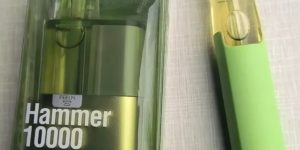 雪加大板砖对比鸭嘴兽