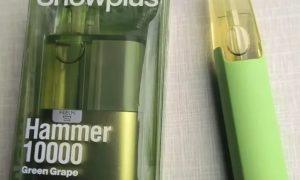 雪加大板砖对比鸭嘴兽