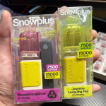 雪加积木电子烟多少钱？配置、口味、续航全面评测